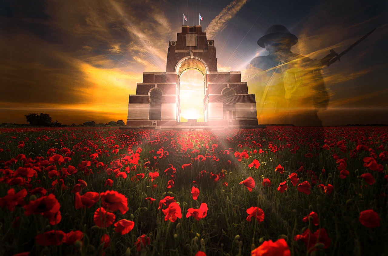 Illustration de l'armistice, champs de coquelicot, monument aux morts et ancien combattant